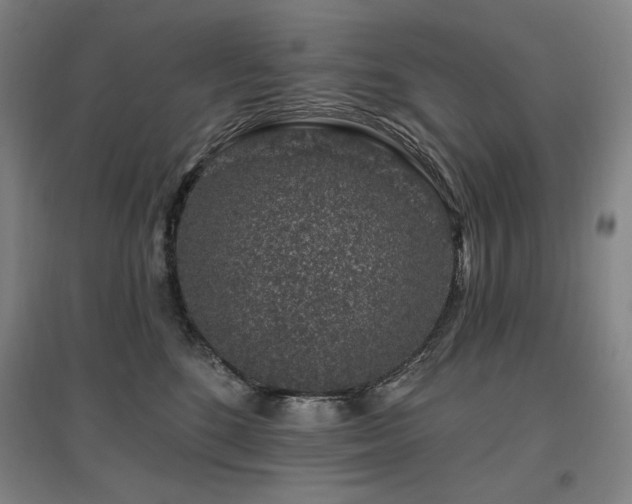 X0000095900520200801111212