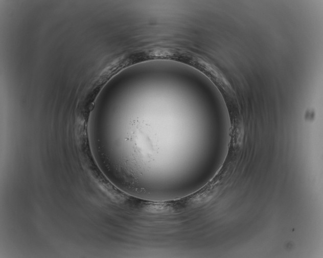 X0000095900521200801111212