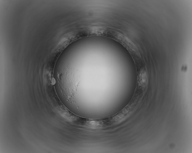 X0000095900522200801111212