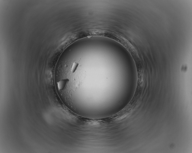 X0000095900523200801111212
