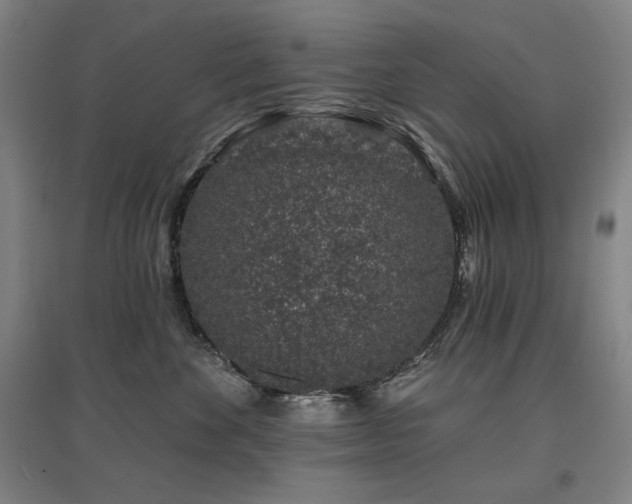 X0000095900524200801111212