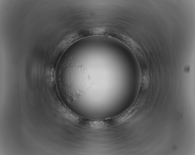 X0000095900525200801111212