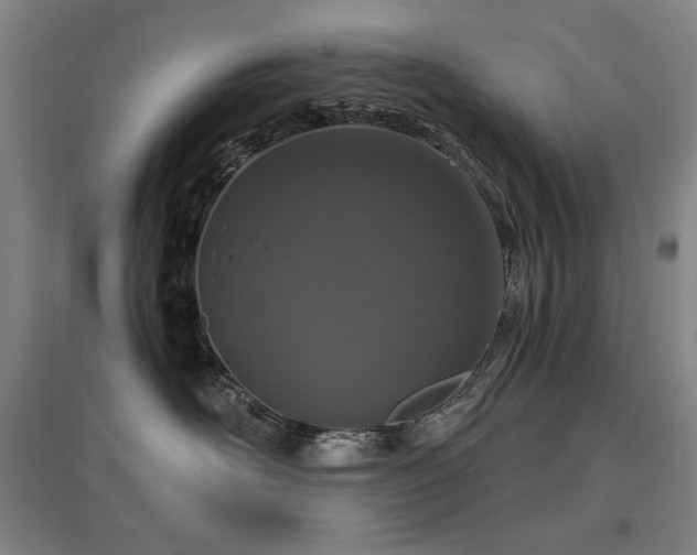 X0000095900526200801111212