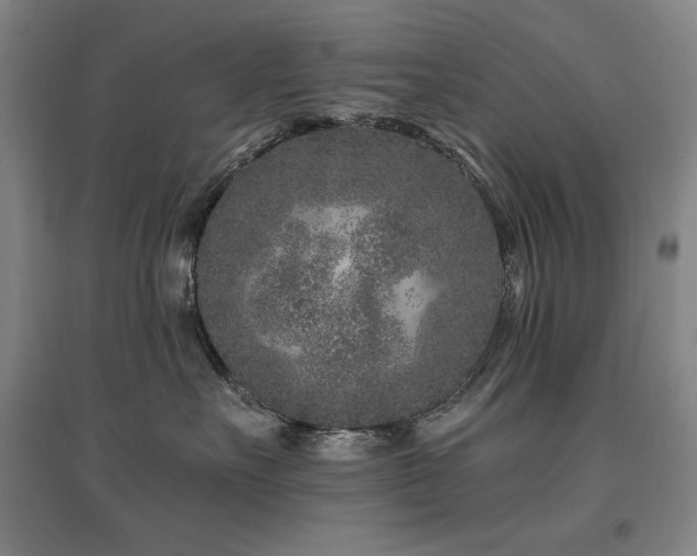 X0000095900527200801111212