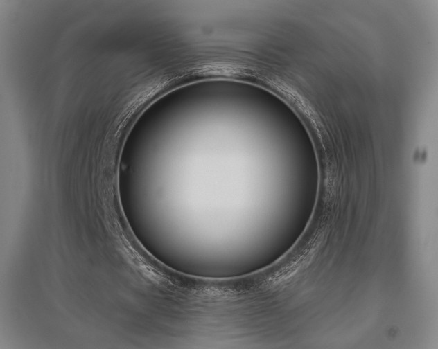 X0000095900529200801111212