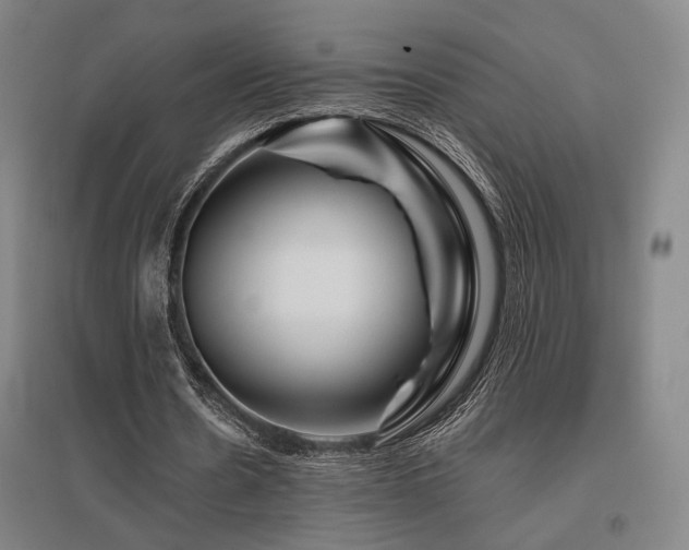 X0000095900530200801111212