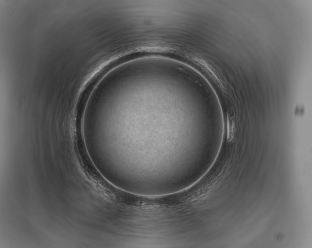 X0000095900531200801111212