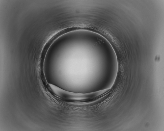 X0000095900532200801111212