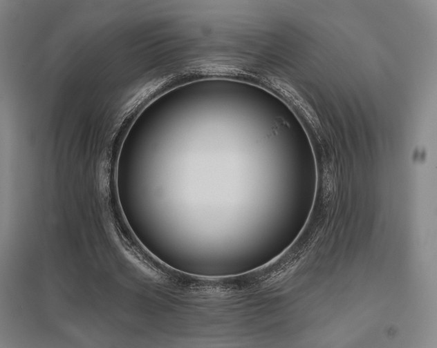X0000095900533200801111212