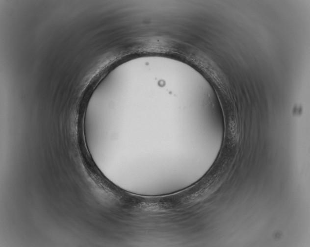 X0000095900534200801111212
