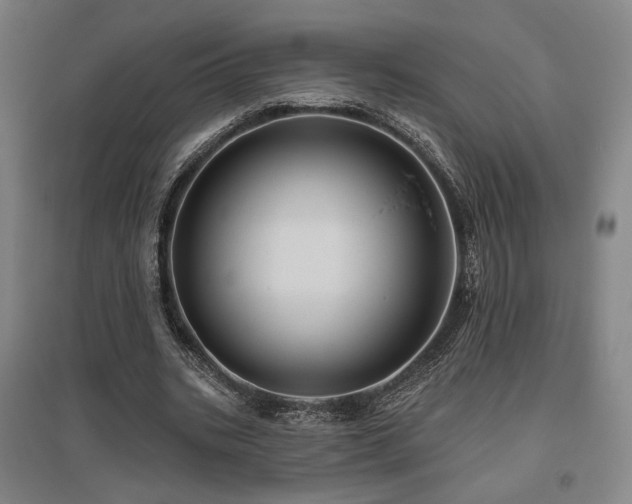X0000095900535200801111212