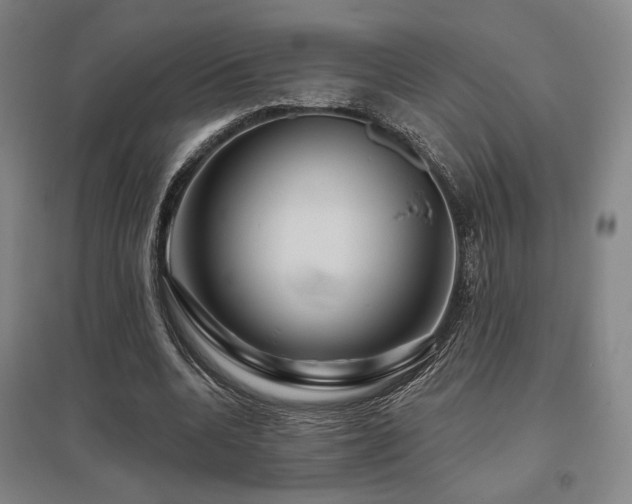 X0000095900536200801111212