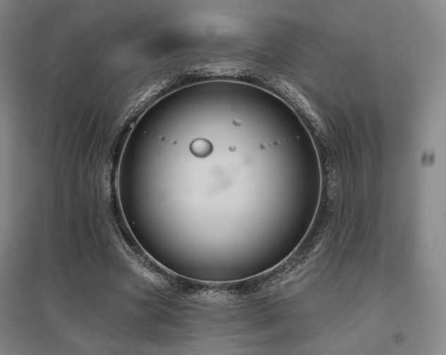 X0000095900537200801111212
