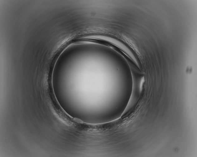 X0000095900538200801111212