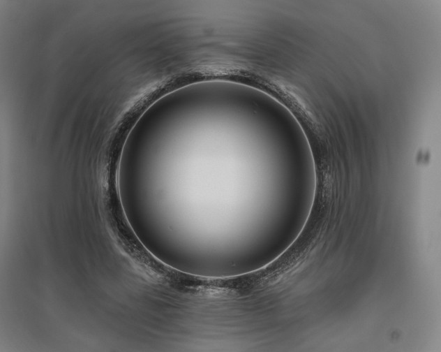 X0000095900539200801111212