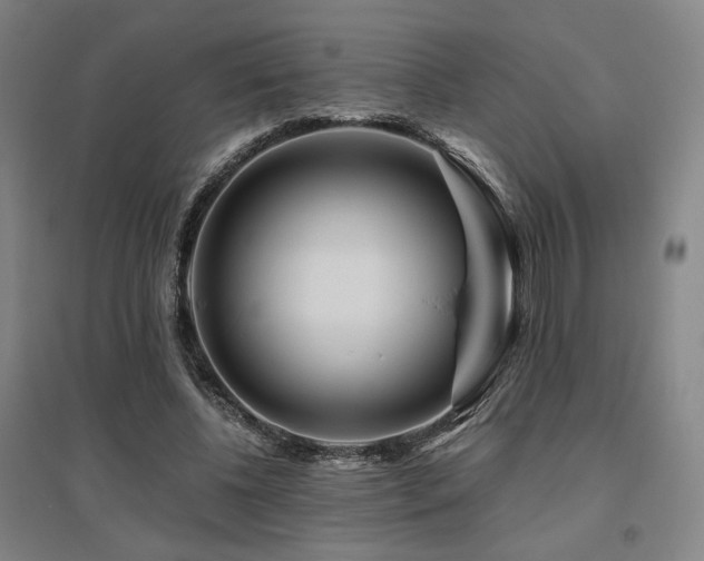 X0000095900540200801111212