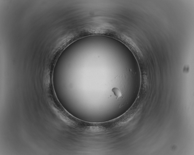 X0000095900541200801111212