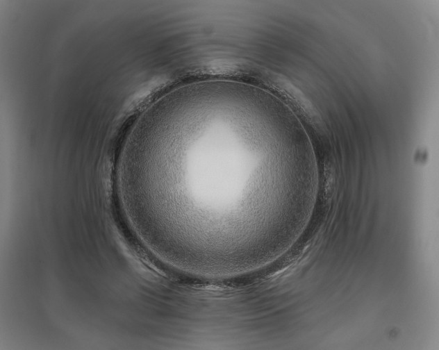 X0000095900542200801111212
