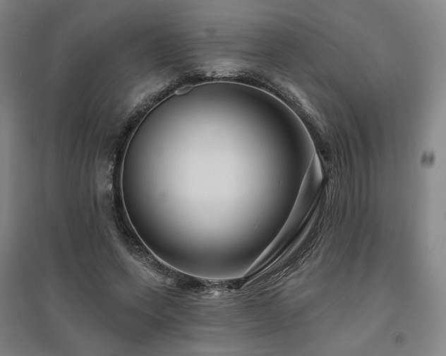 X0000095900543200801111212