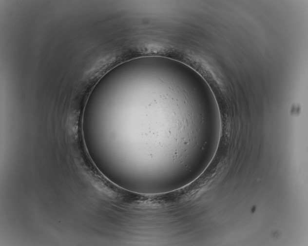 X0000095900545200801111212