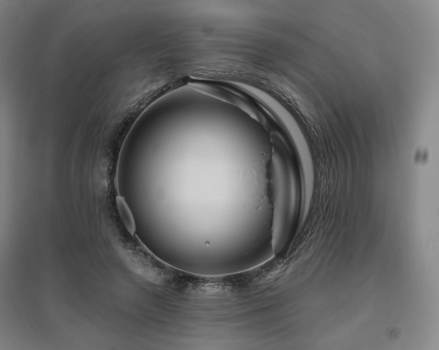 X0000095900546200801111212