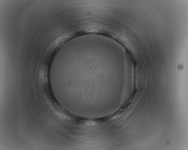 X0000095900547200801111212