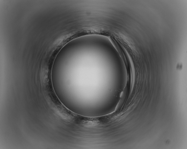 X0000095900548200801111212
