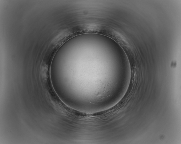 X0000095900550200801111212
