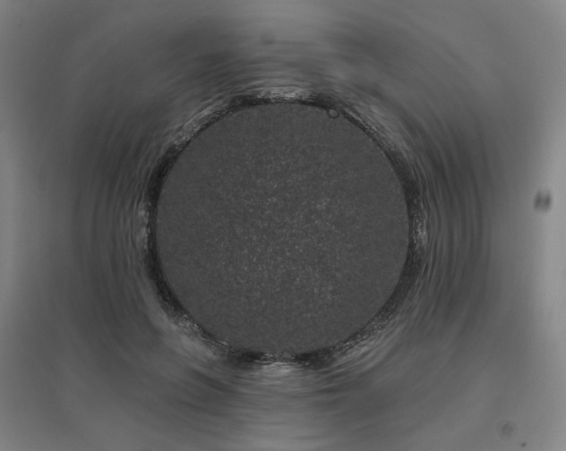 X0000095900551200801111212