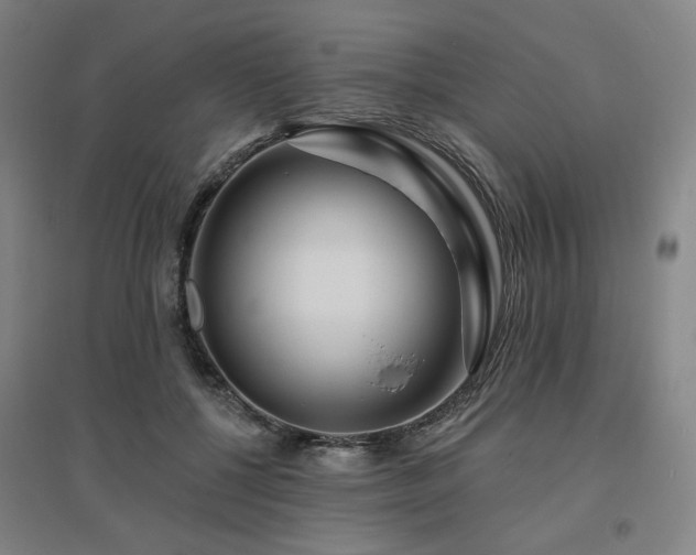 X0000095900552200801111212
