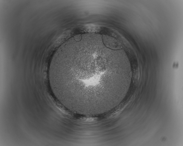 X0000095900553200801111212