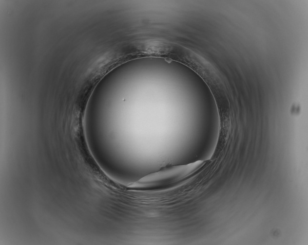 X0000095900554200801111212