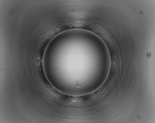 X0000095900555200801111212