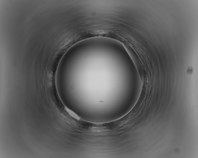 X0000095900556200801111212