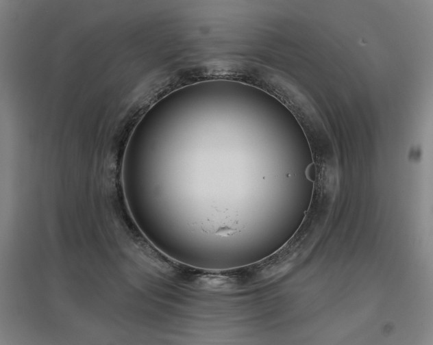 X0000095900557200801111212