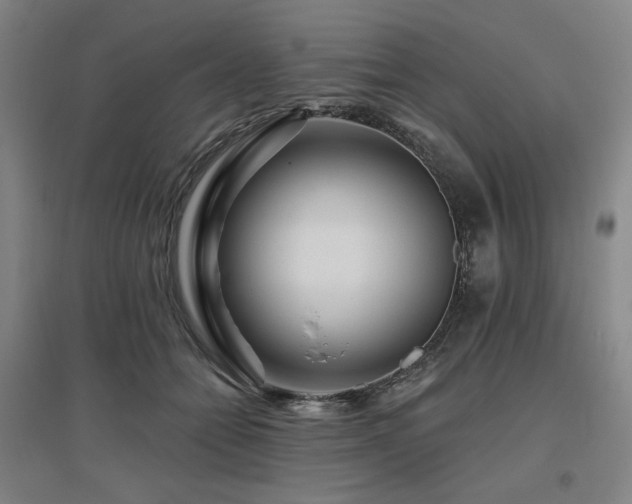 X0000095900558200801111212