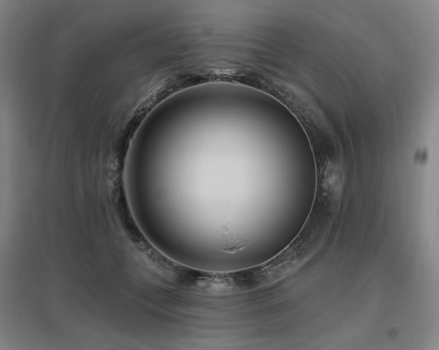 X0000095900559200801111212