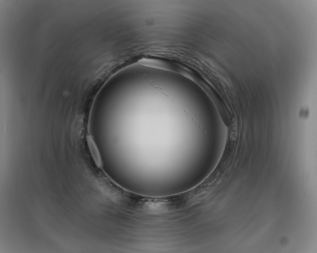 X0000095900560200801111212