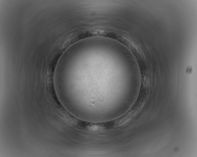 X0000095900561200801111212