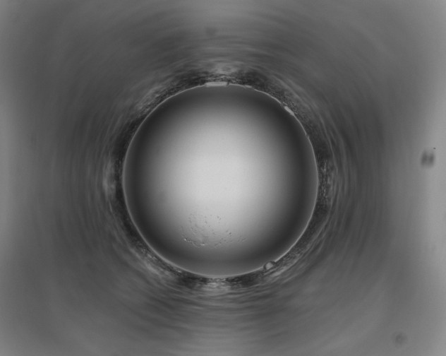 X0000095900562200801111212