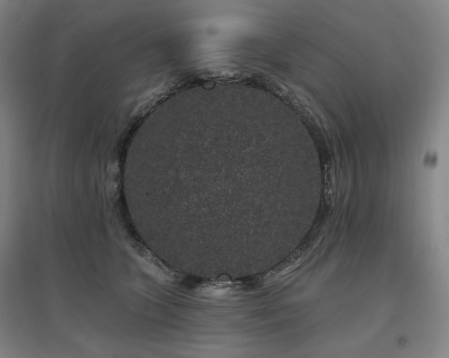 X0000095900563200801111212
