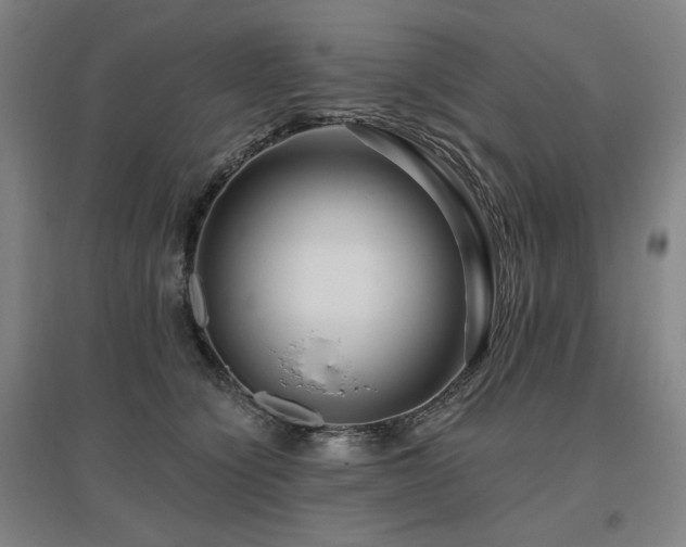 X0000095900564200801111212
