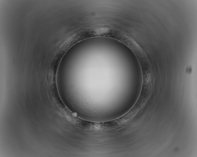 X0000095900565200801111212