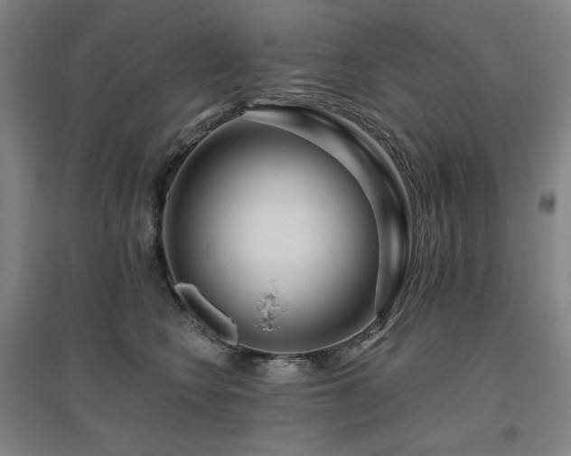 X0000095900566200801111212