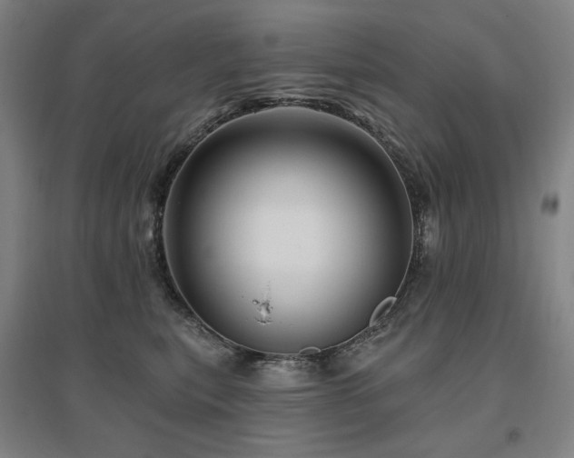 X0000095900567200801111212