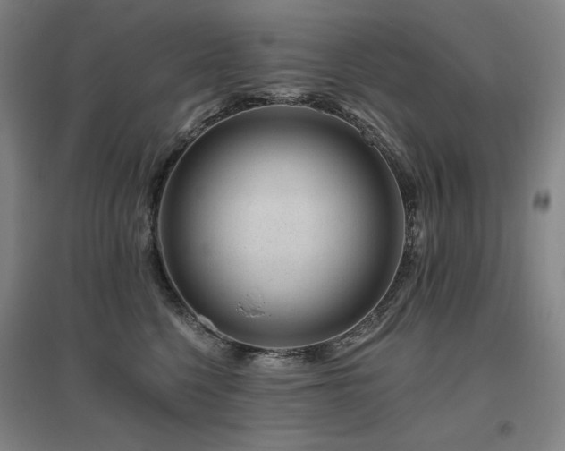 X0000095900568200801111212
