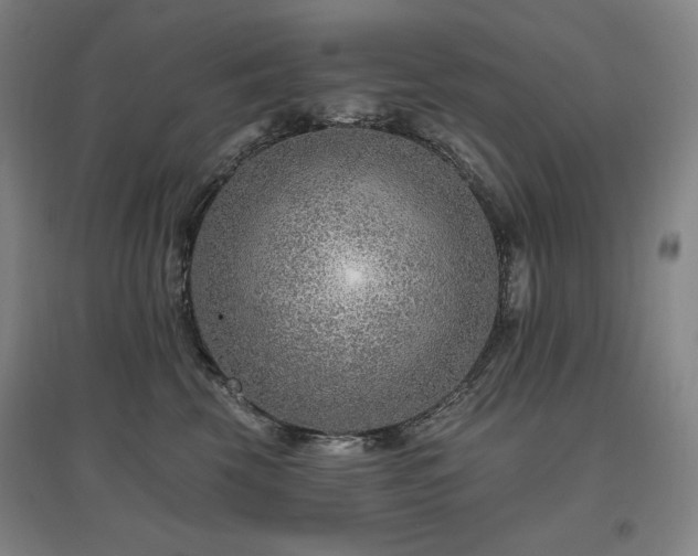 X0000095900569200801111212