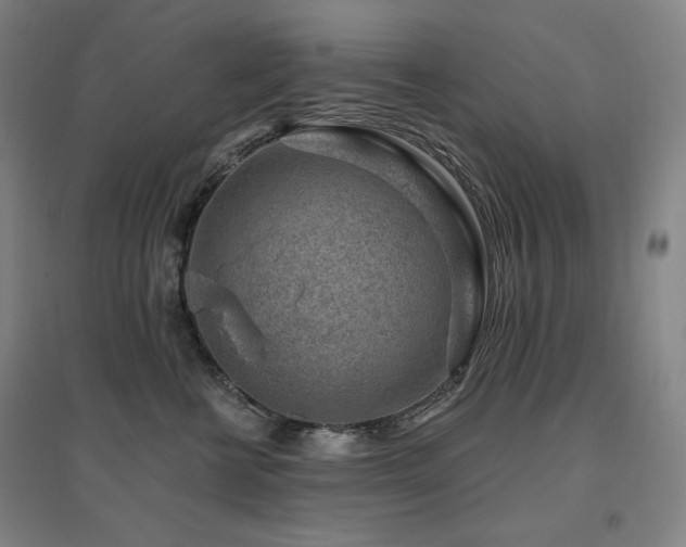 X0000095900570200801111212