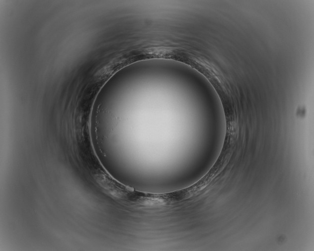 X0000095900572200801111212