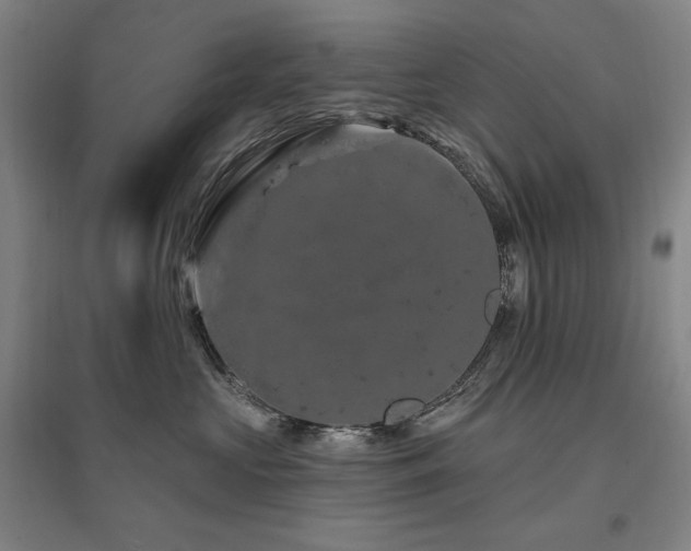 X0000095900573200801111212